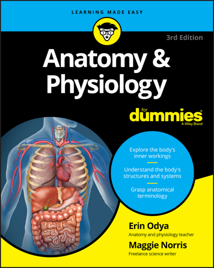 Anatomy and Physiology For Dummies 3rd Edition