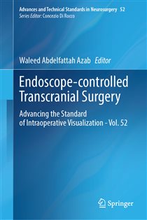 Endoscope-controlled Transcranial Surgery Advancing the Standard of Intraoperative Visualization - Vol. 52