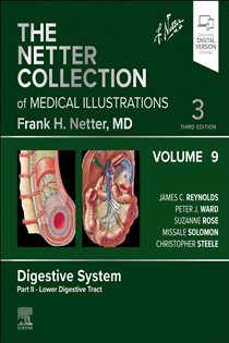 The Netter Collection of Medical Illustrations: Digestive System, Volume 9, Part II – Lower Digestive Tract - E-Book