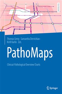 PathoMaps Clinical-Pathological Overview Charts
