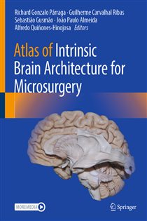 Atlas of Intrinsic Brain Architecture for Microsurgery