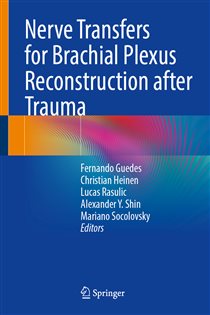 Nerve Transfers for Brachial Plexus Reconstruction after Trauma
