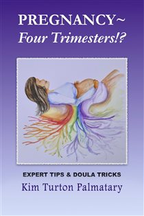 Pregnancy ~ Four Trimesters!?
