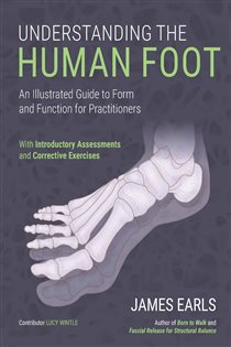 Understanding the Human Foot An Illustrated Guide to Form and Function for Practitioners