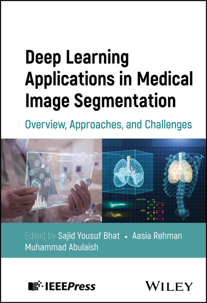 Deep Learning Applications in Medical Image Segmentation: Overview, Approaches, and Challenges