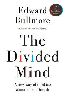 The Divided Mind A new way of thinking about mental health