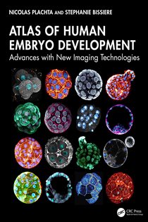 Atlas of Human Embryo Development Advances with New Imaging Technologies